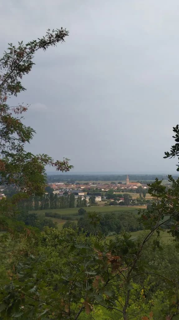 A view from the woods over a village and its bell tower, surrounded by fields, under a gray sky.